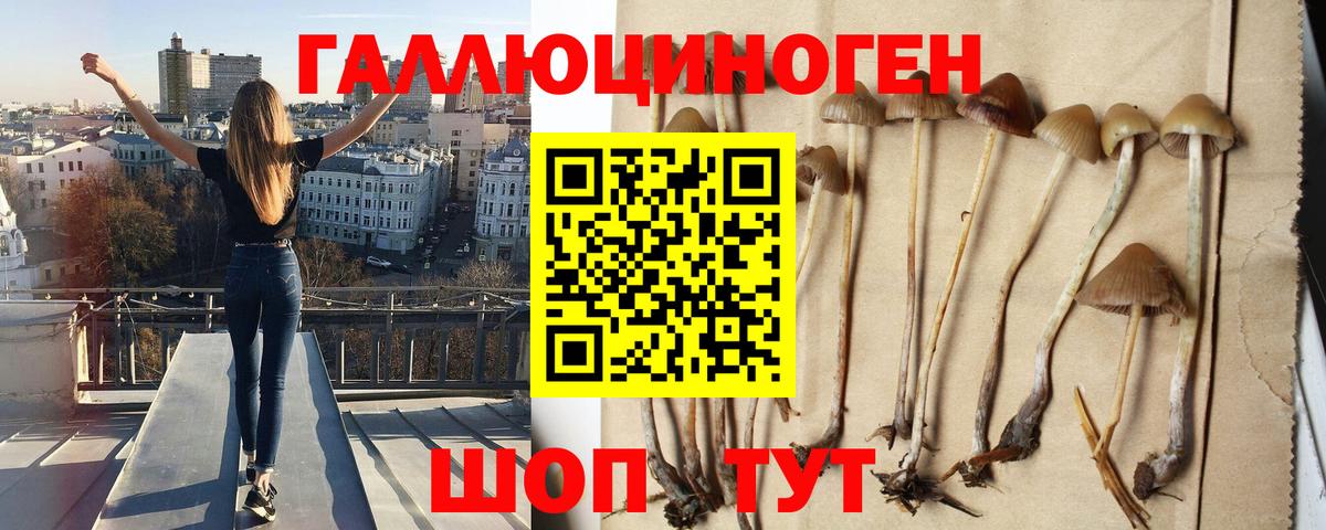 где найти   Вход с VPN  Строитель  Псилоцибиновые грибы мухоморы 