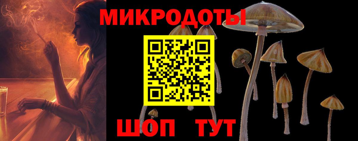 Псилоцибиновые грибы прущие грибы Строитель